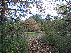 22 Shiawassee National Wildlife Refuge [2008 Nov 5]